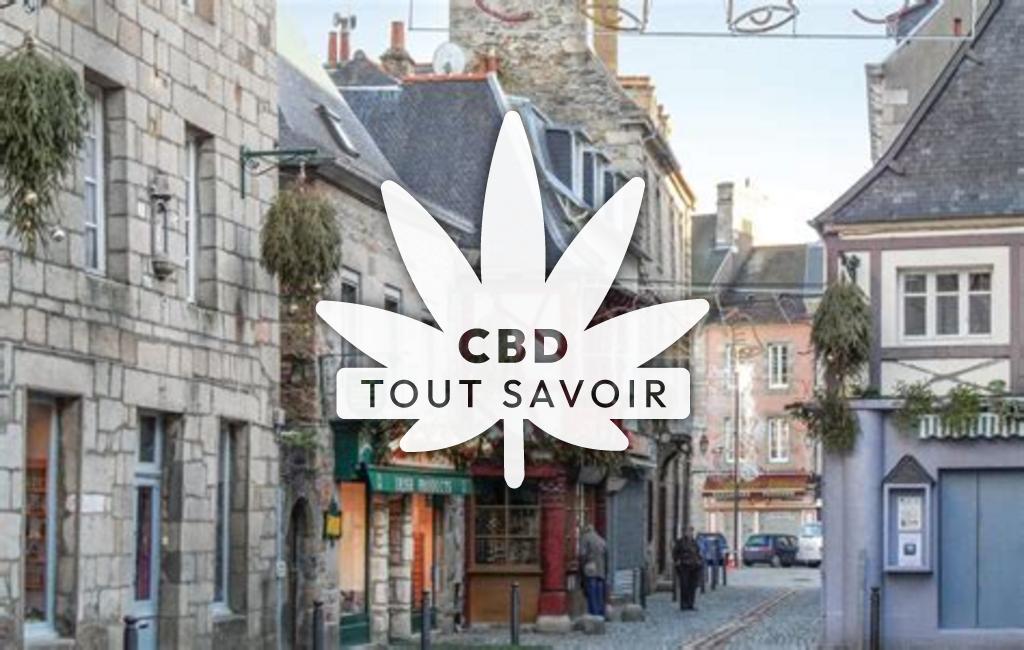 Village à Le-Faouet avec feuille Cannabis CBD