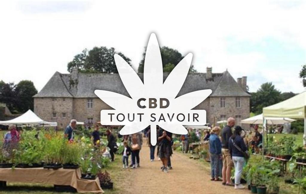 Village à Plehedel avec feuille Cannabis CBD