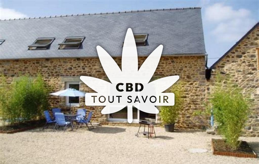 Village à Pludual avec feuille Cannabis CBD