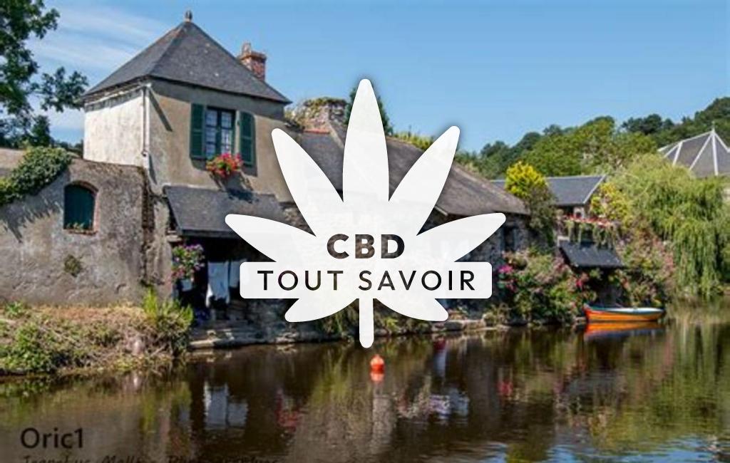 Village à Saint-Gilles-les-Bois avec feuille Cannabis CBD