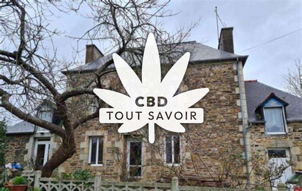 Village à Treguidel avec feuille Cannabis CBD