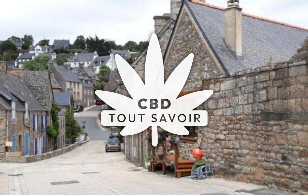 Village à Plufur avec feuille Cannabis CBD