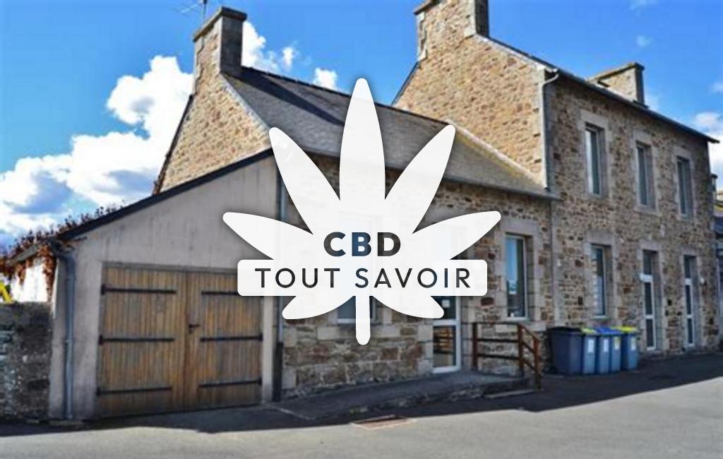 Village à Treduder avec feuille Cannabis CBD