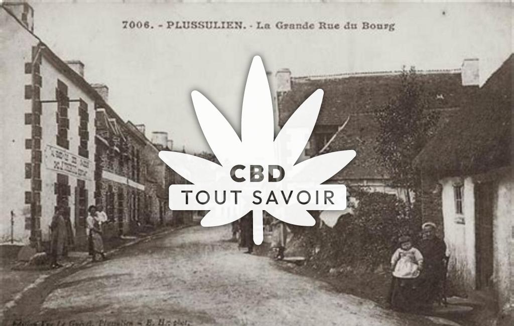 Village à Plussulien avec feuille Cannabis CBD