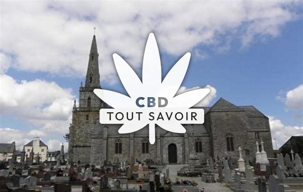Village à Saint-Mayeux avec feuille Cannabis CBD