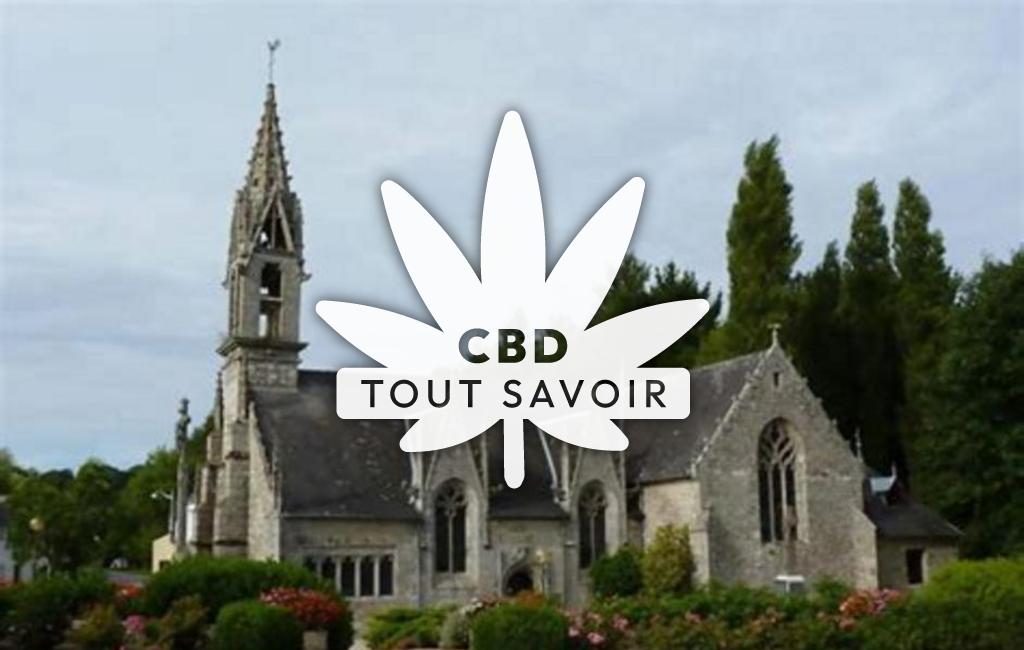 Village à Le-Moustoir avec feuille Cannabis CBD