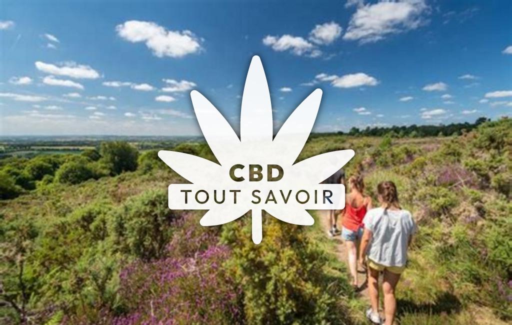 Village à Locarn avec feuille Cannabis CBD