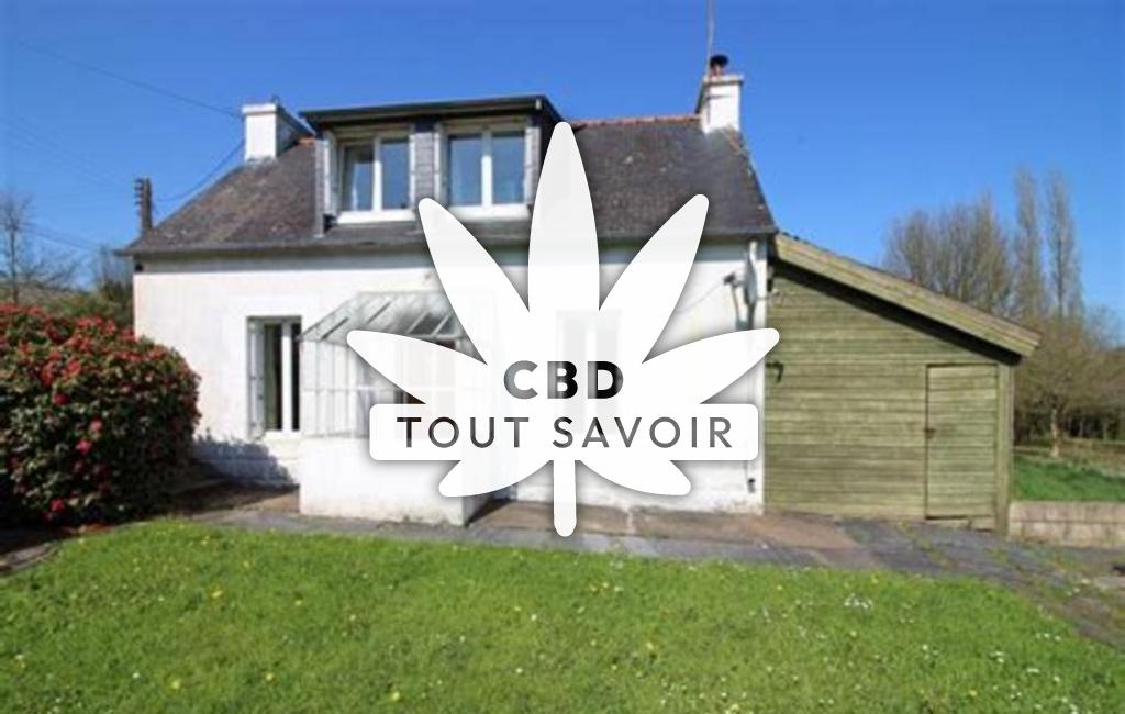 Village à Mael-Carhaix avec feuille Cannabis CBD