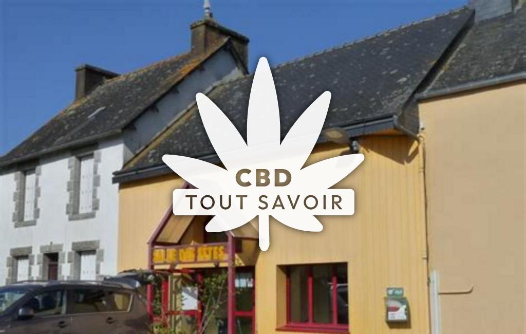 Village à Plevin avec feuille Cannabis CBD