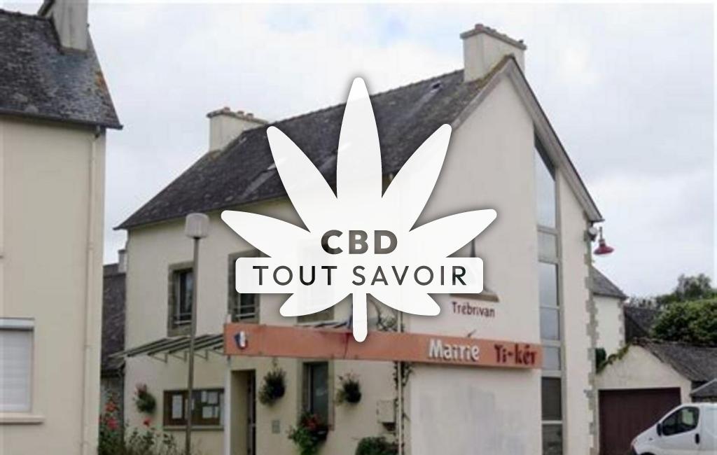 Village à Trebrivan avec feuille Cannabis CBD