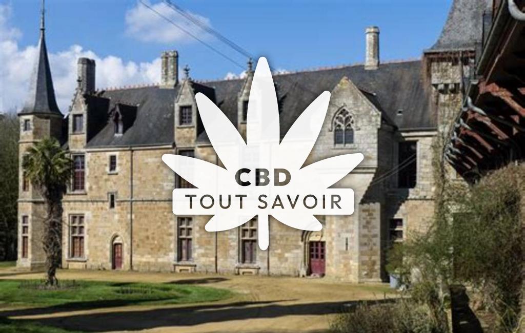 Village à Guitte avec feuille Cannabis CBD