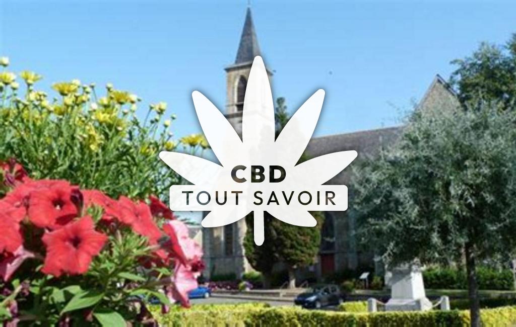 Village à Plumaudan avec feuille Cannabis CBD