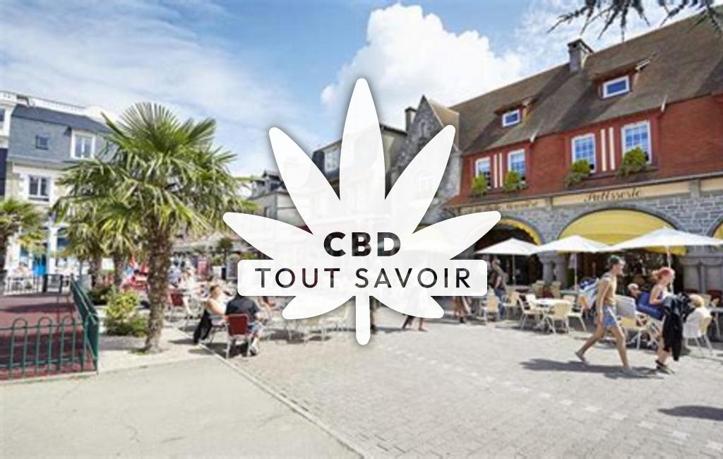 Village à Saint-Cast-le-Guildo avec feuille Cannabis CBD