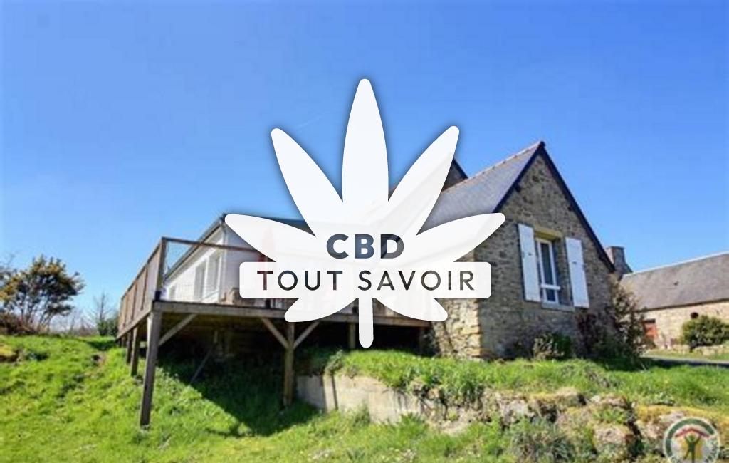 Village à Bourbriac avec feuille Cannabis CBD
