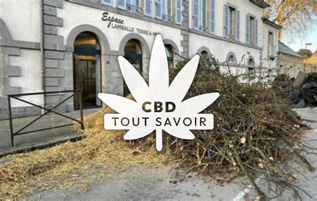 Village à Noyal avec feuille Cannabis CBD
