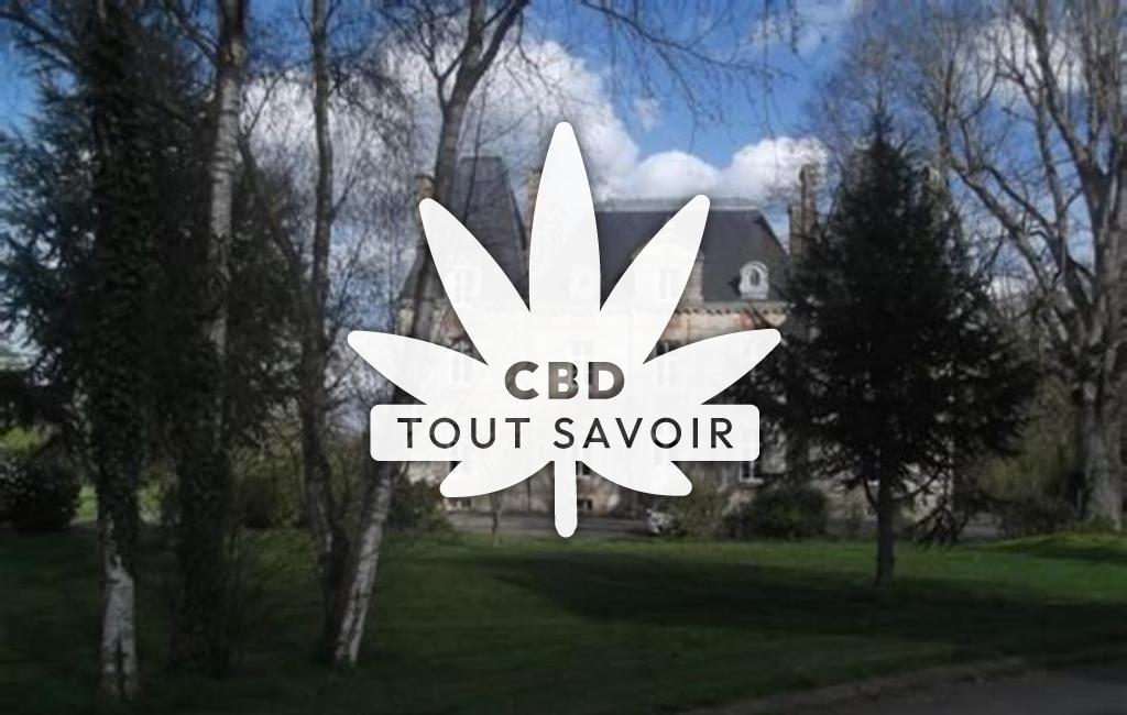 Village à Quintenic avec feuille Cannabis CBD