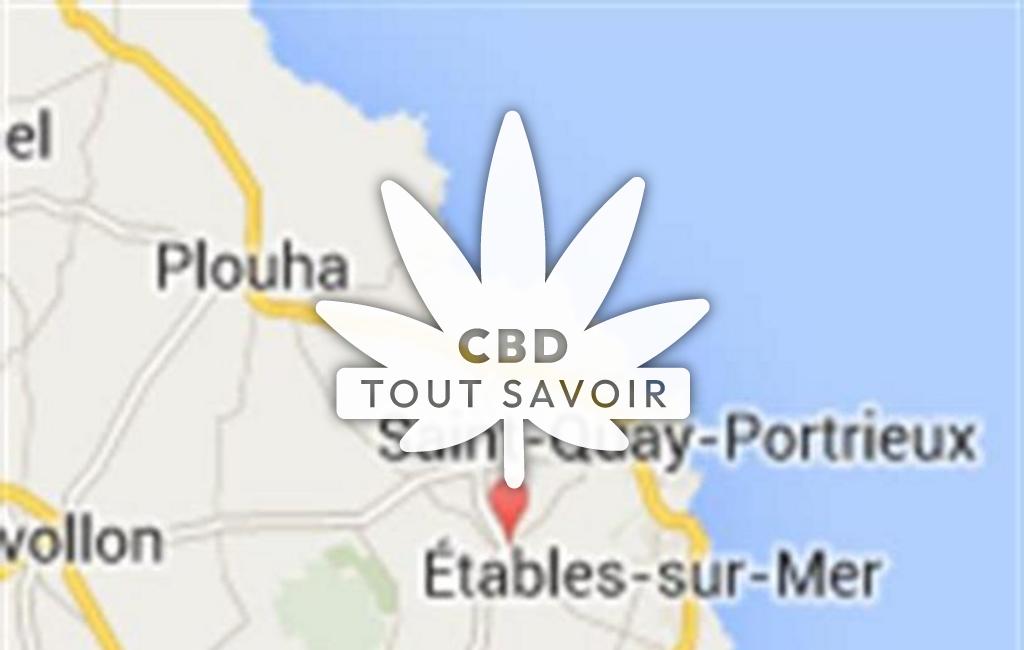 Village à Plourhan avec feuille Cannabis CBD