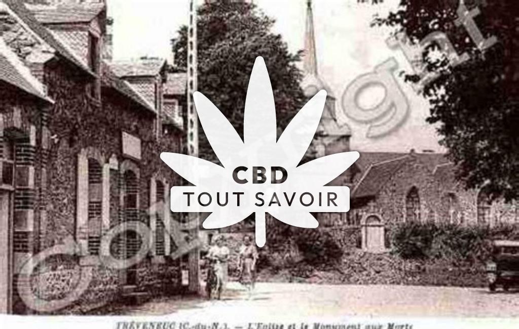 Village à Treveneuc avec feuille Cannabis CBD