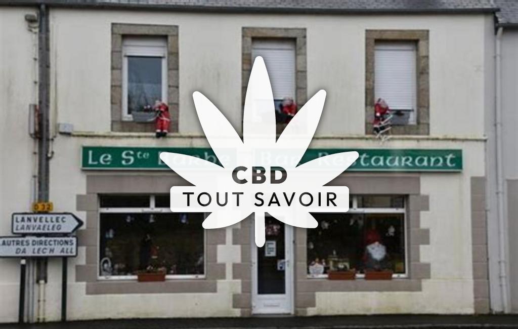 Village à Plouaret avec feuille Cannabis CBD