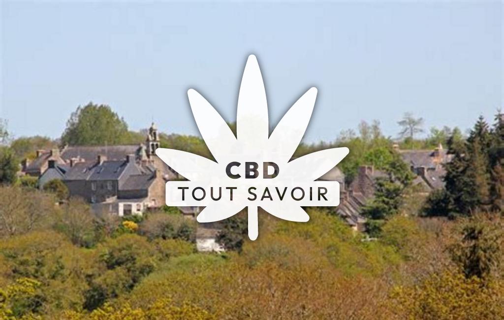 Village à Tregrom avec feuille Cannabis CBD