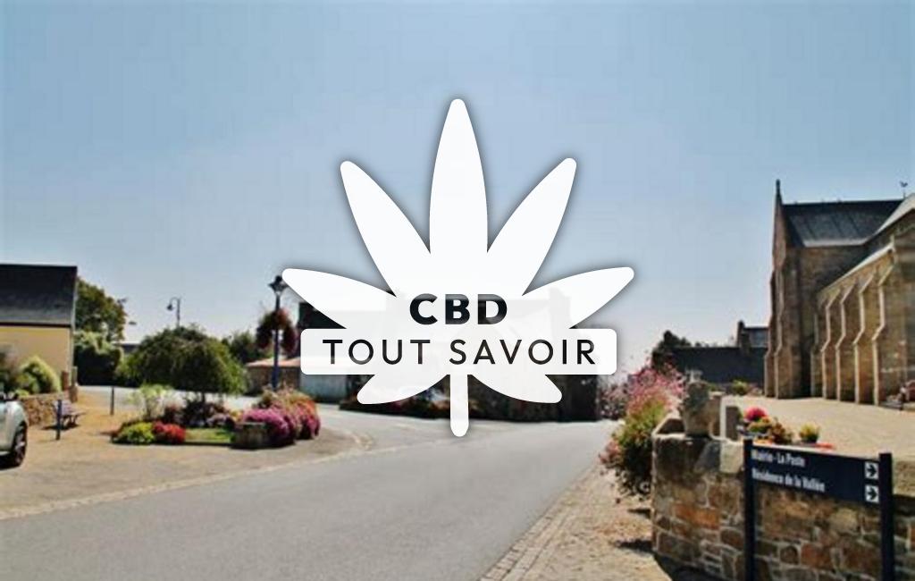Village à Camlez avec feuille Cannabis CBD