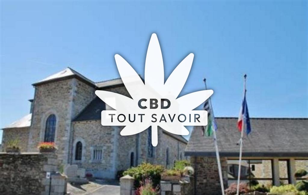 Village à La-Roche-Jaudy avec feuille Cannabis CBD