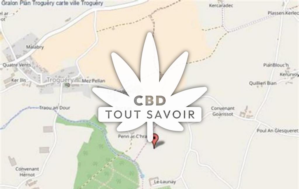 Village à Troguery avec feuille Cannabis CBD