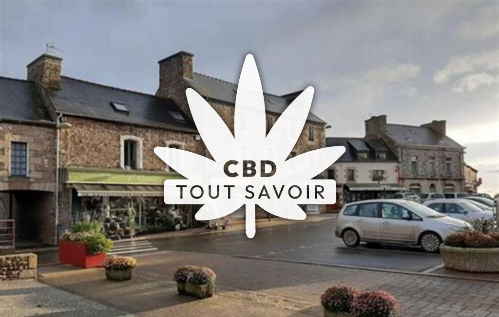 Village à Uzel avec feuille Cannabis CBD
