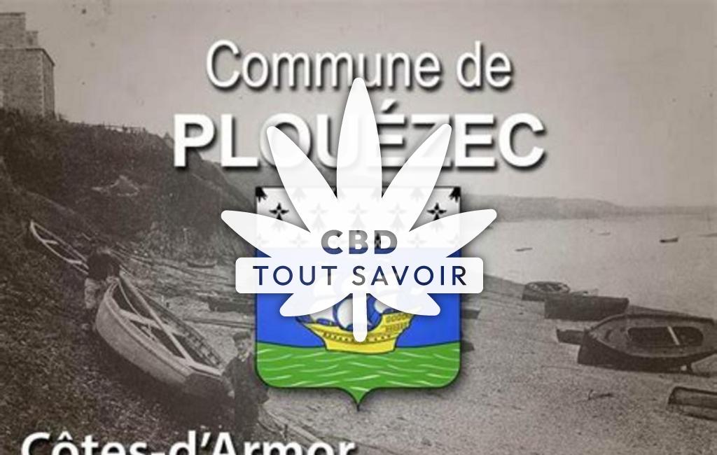 Village à Plouezec avec feuille Cannabis CBD