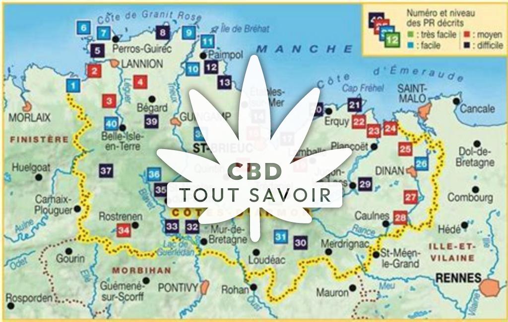 Village à Canihuel avec feuille Cannabis CBD