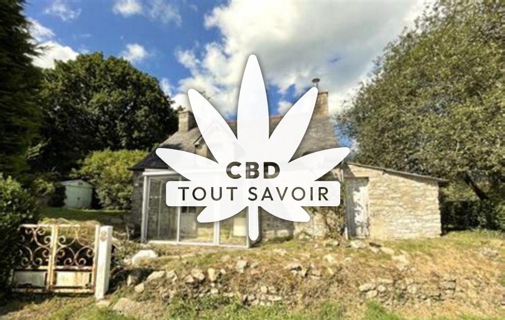 Village à Kerpert avec feuille Cannabis CBD