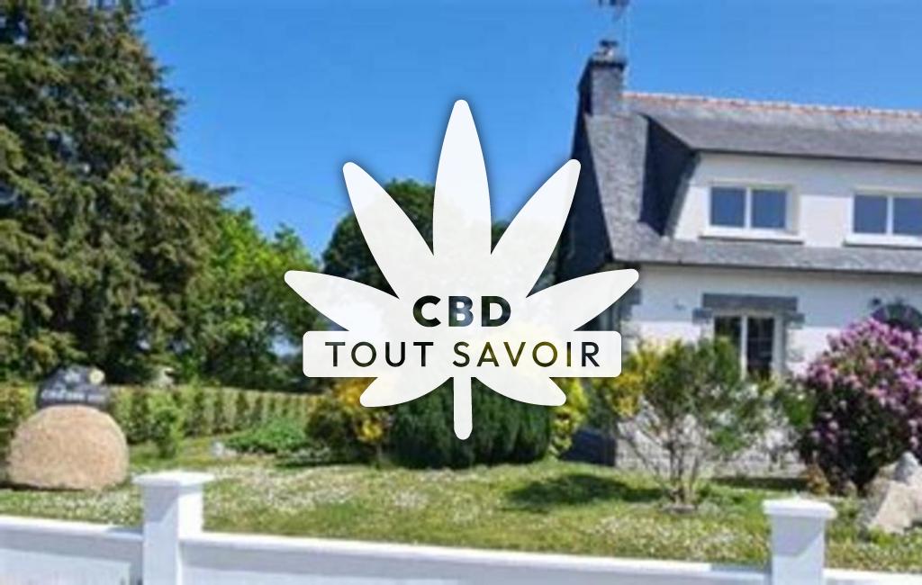 Village à Peumerit-Quintin avec feuille Cannabis CBD