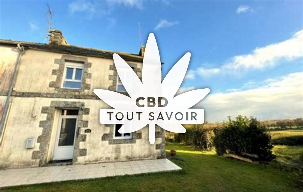 Village à Saint-Gilles-Pligeaux avec feuille Cannabis CBD