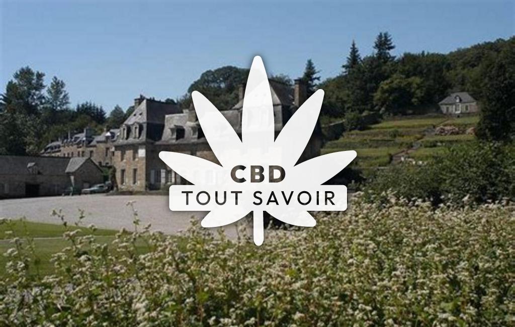 Village à Saint-Nicolas-du-Pelem avec feuille Cannabis CBD