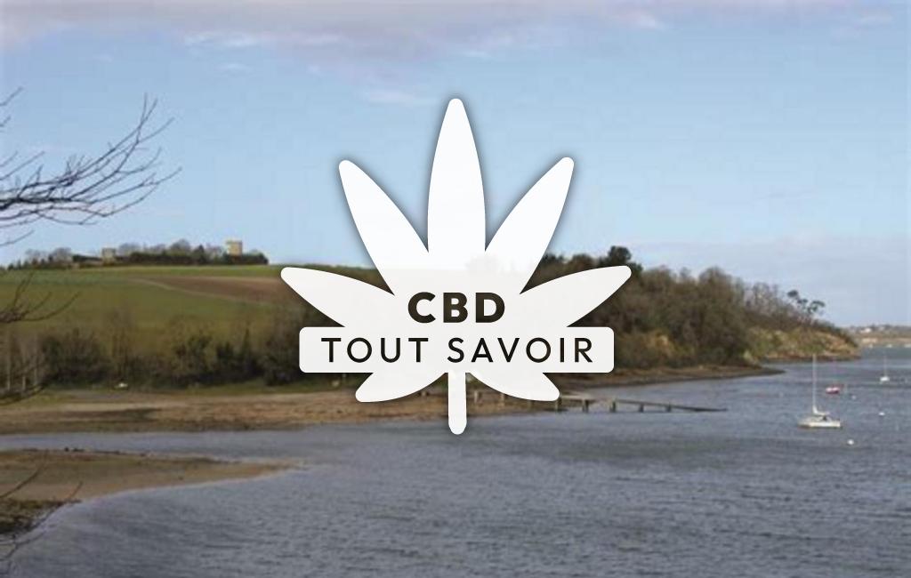 Village à Langrolay-sur-Rance avec feuille Cannabis CBD