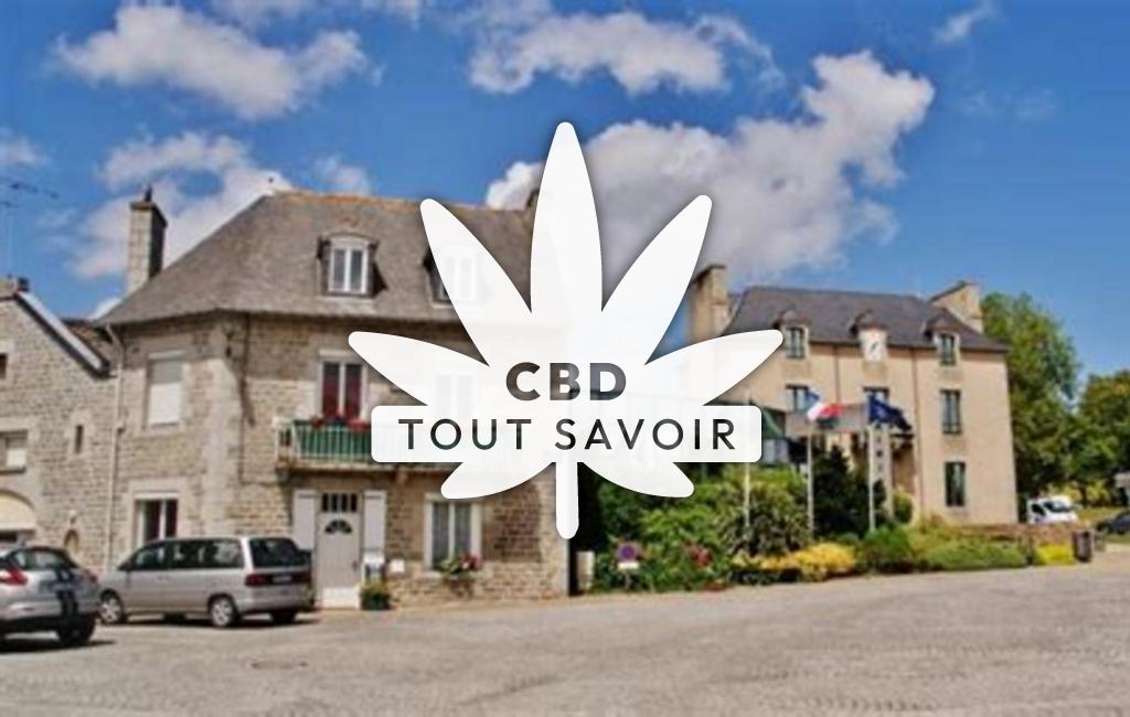 Village à Pleslin-Trigavou avec feuille Cannabis CBD
