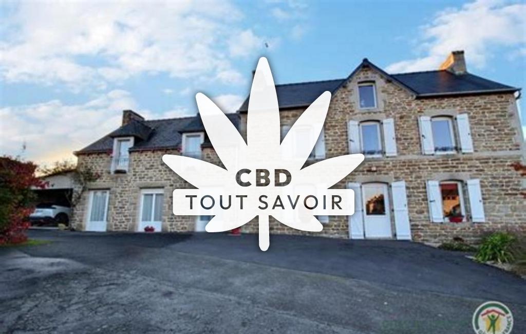 Village à Brehand avec feuille Cannabis CBD