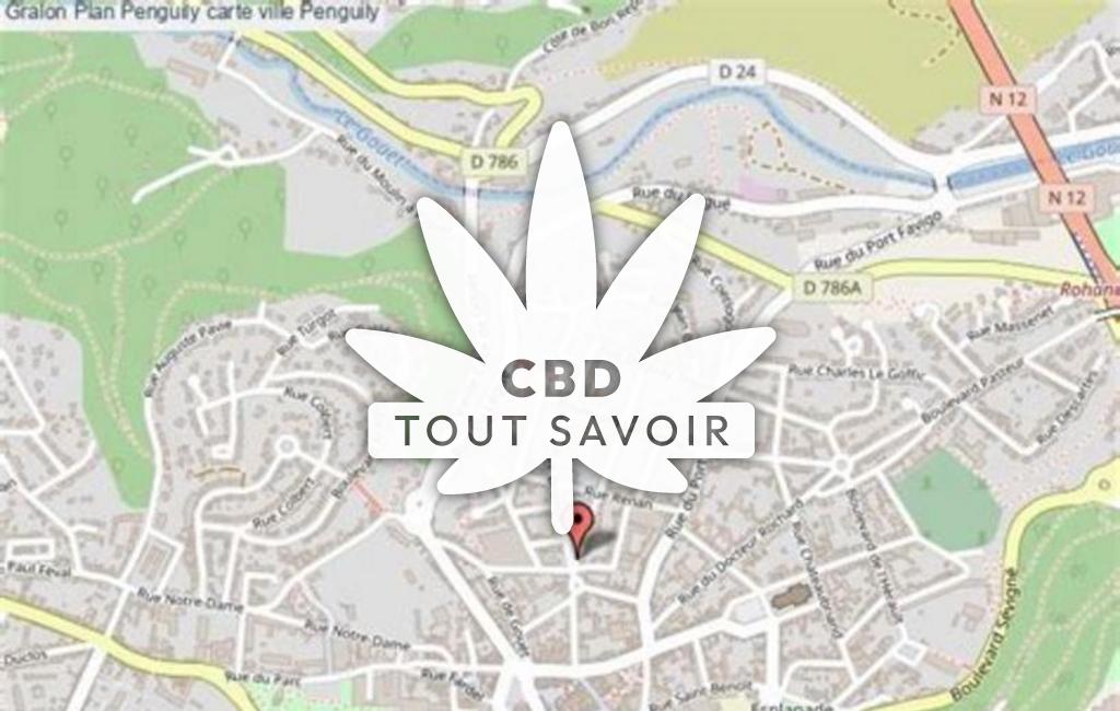 Village à Penguily avec feuille Cannabis CBD