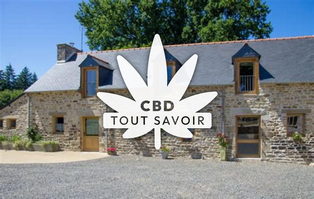 Village à Tredaniel avec feuille Cannabis CBD