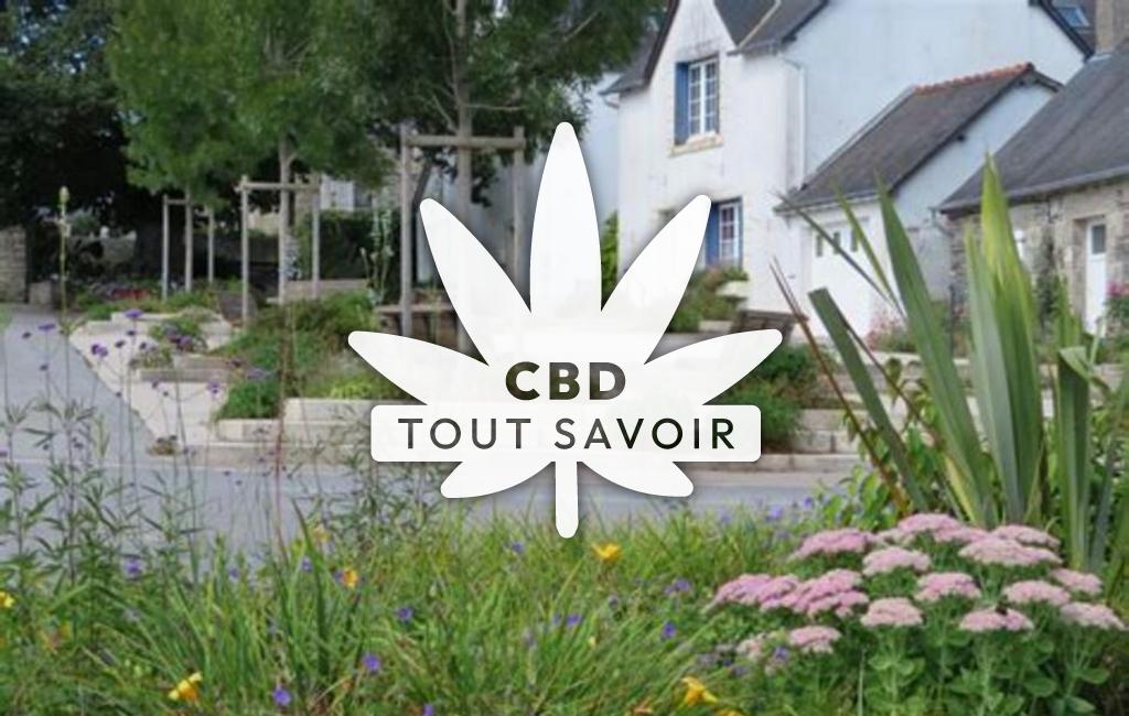 Village à Saint-Gilles-Vieux-Marche avec feuille Cannabis CBD