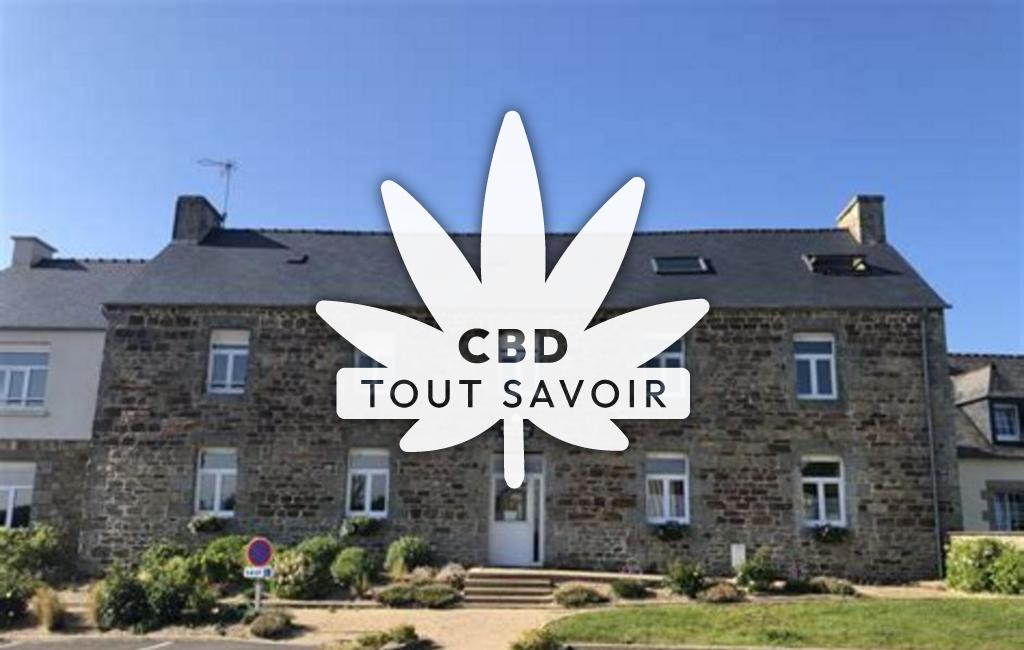 Village à Treglamus avec feuille Cannabis CBD