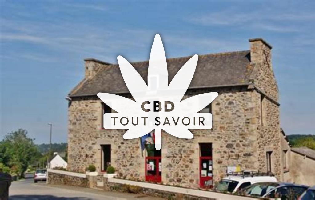 Village à Pleboulle avec feuille Cannabis CBD