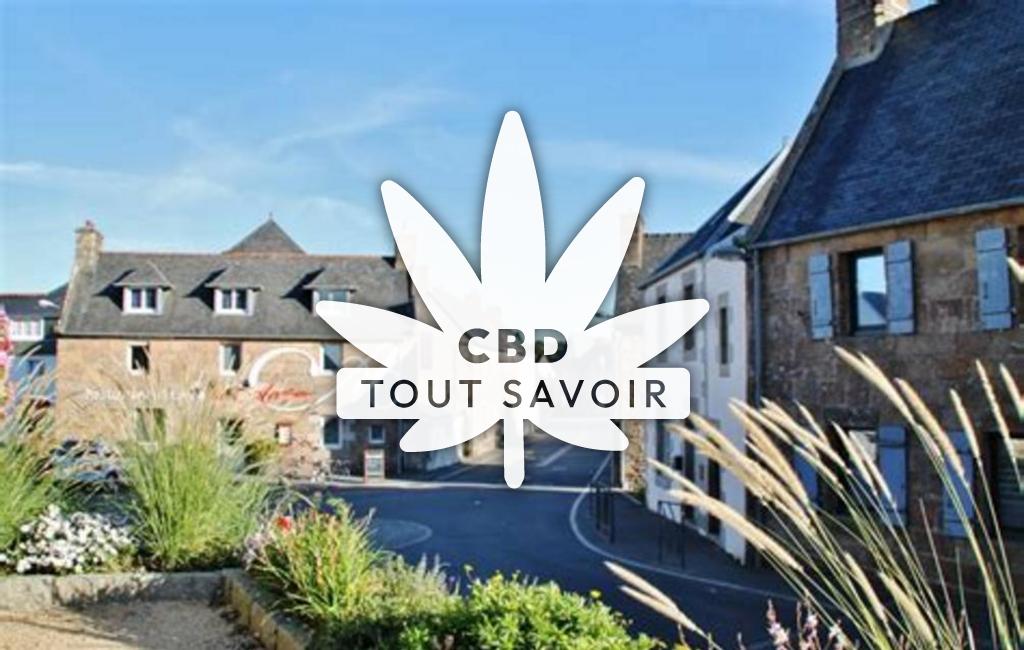 Village à Pleumeur-Bodou avec feuille Cannabis CBD