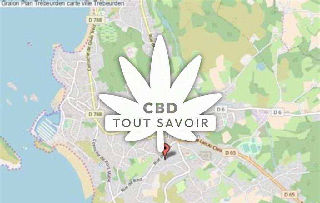Village à Trebeurden avec feuille Cannabis CBD