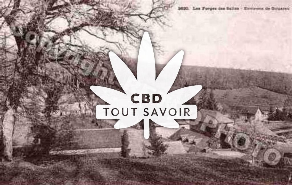 Village à Plelauff avec feuille Cannabis CBD