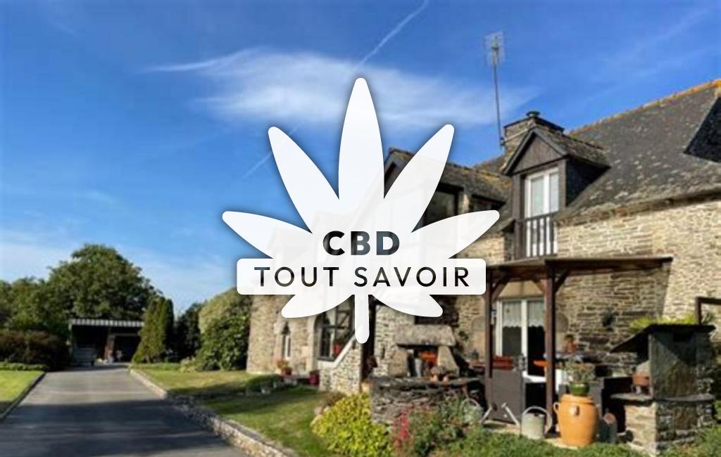 Village à Saint-Igeaux avec feuille Cannabis CBD