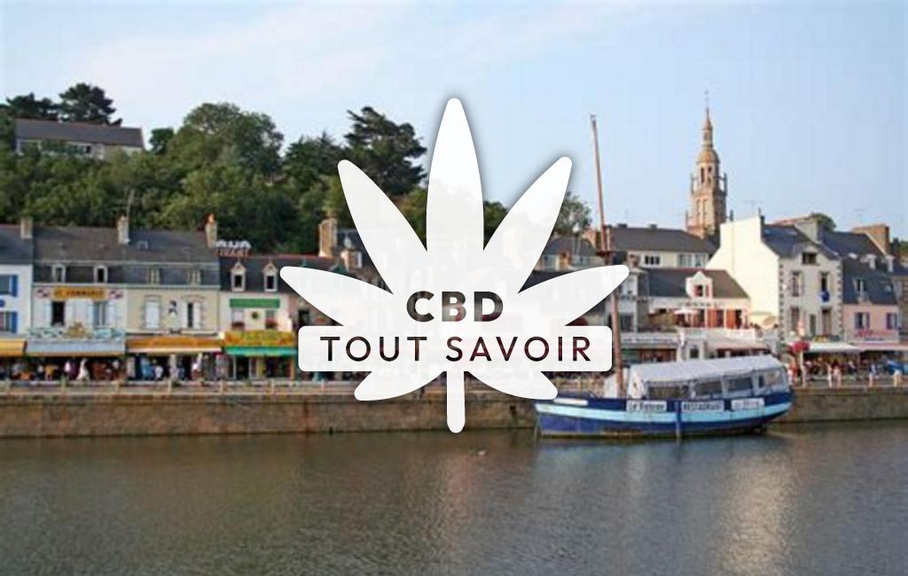 Village à Pordic avec feuille Cannabis CBD