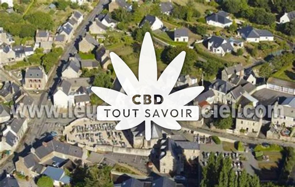 Village à Tregomeur avec feuille Cannabis CBD