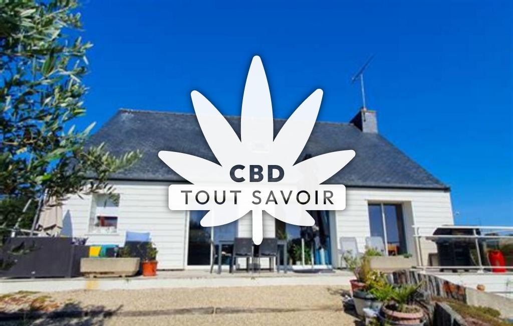 Village à Hemonstoir avec feuille Cannabis CBD