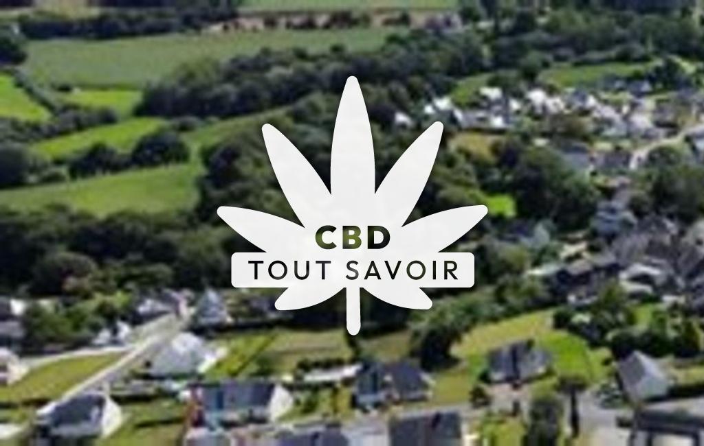Village à La-Motte avec feuille Cannabis CBD